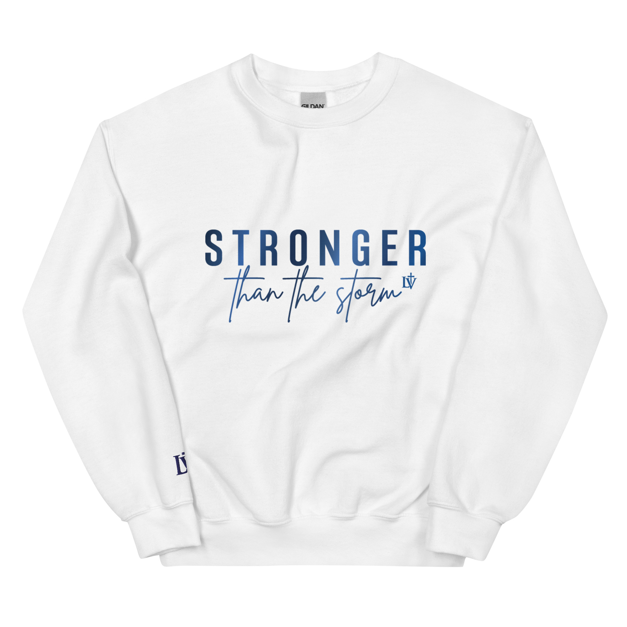 Stronger Than the Storm - Image 4